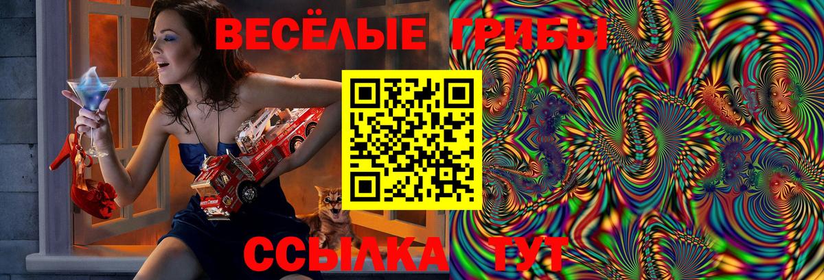 Псилоцибиновые грибы мухоморы Шебекино